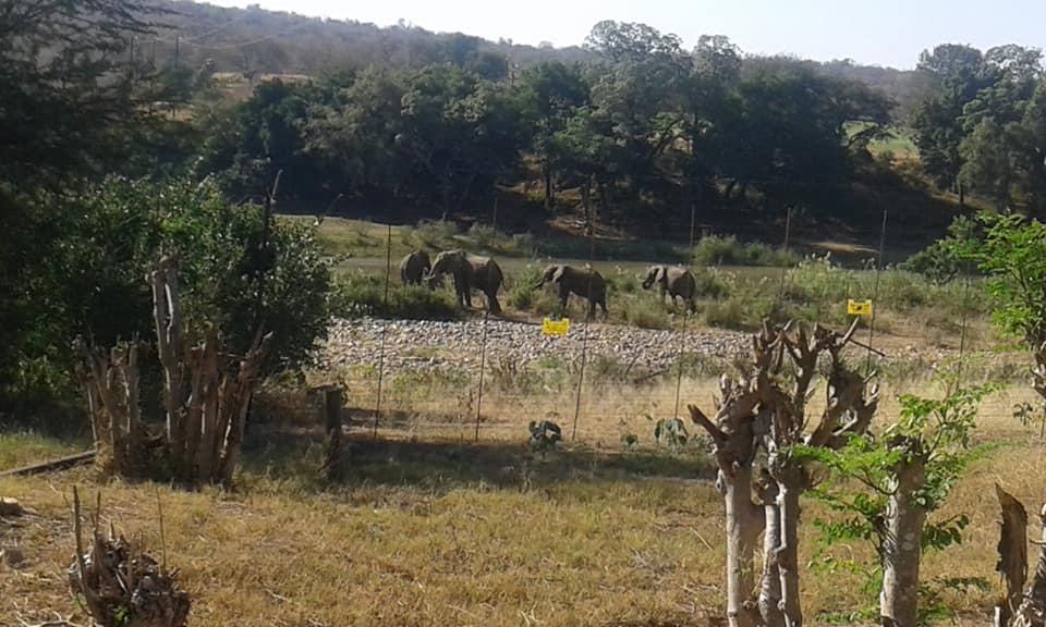 Bed & Breakfast Three Bridges Hoedspruit